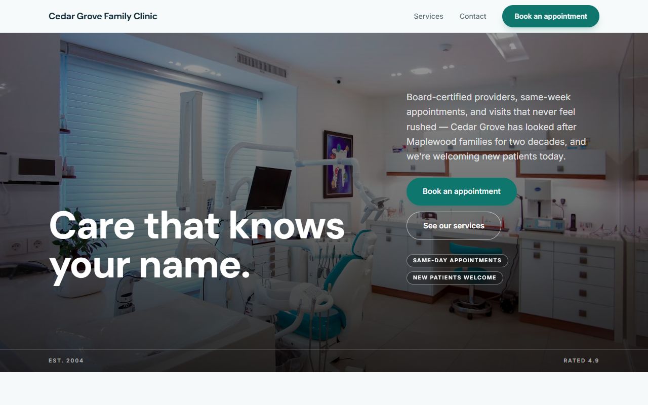 Medical Care template preview